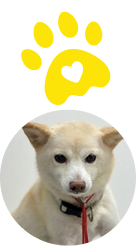 おとちゃん担当の生徒の感想