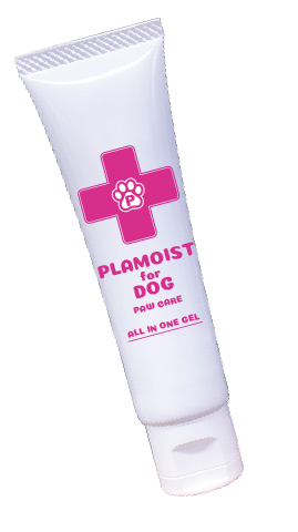 plamoist-link